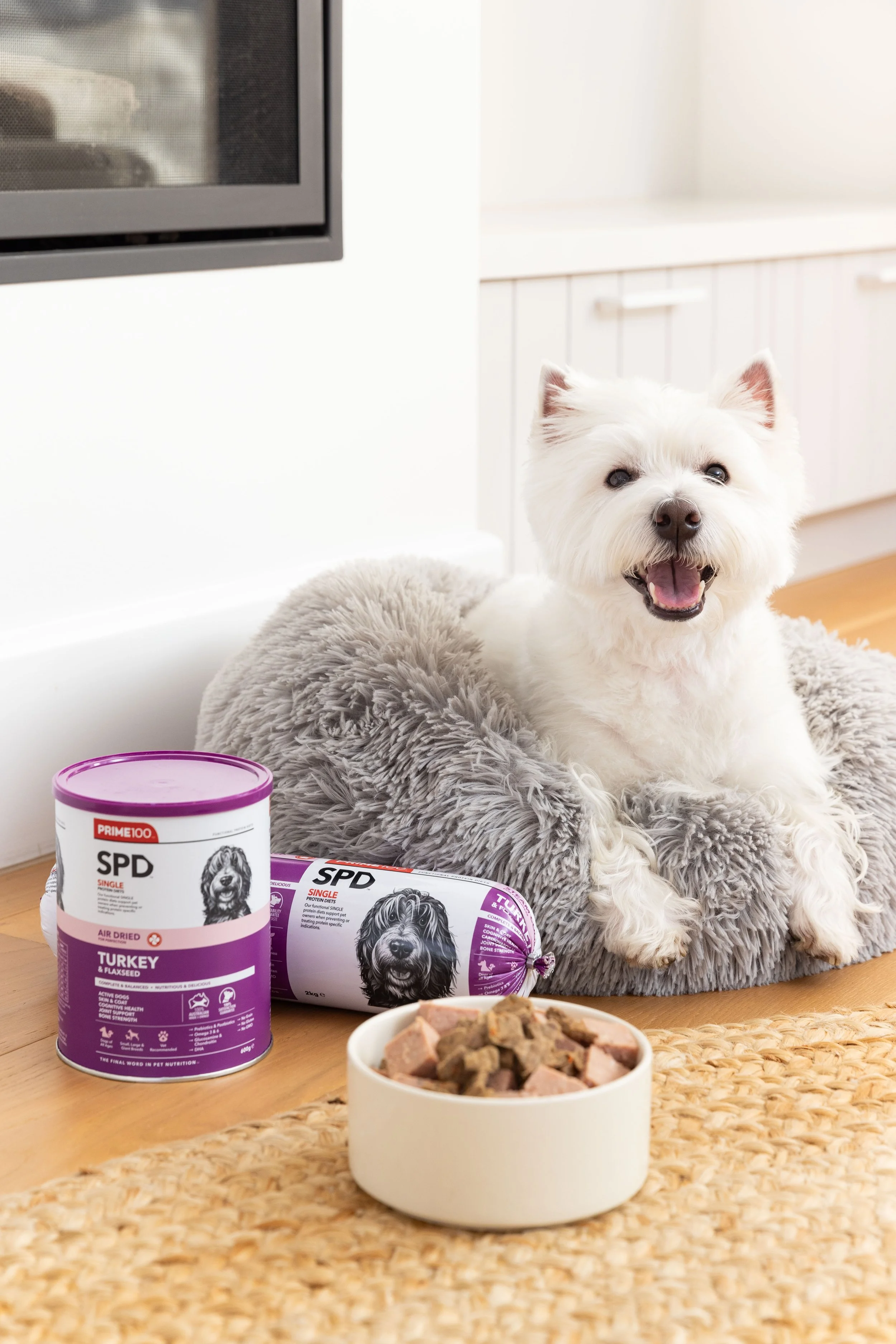 A happy white dog sitting on a fluffy gray pet bed next to cans of Pedigree dog food and a bowl of dog food on a wooden floor.