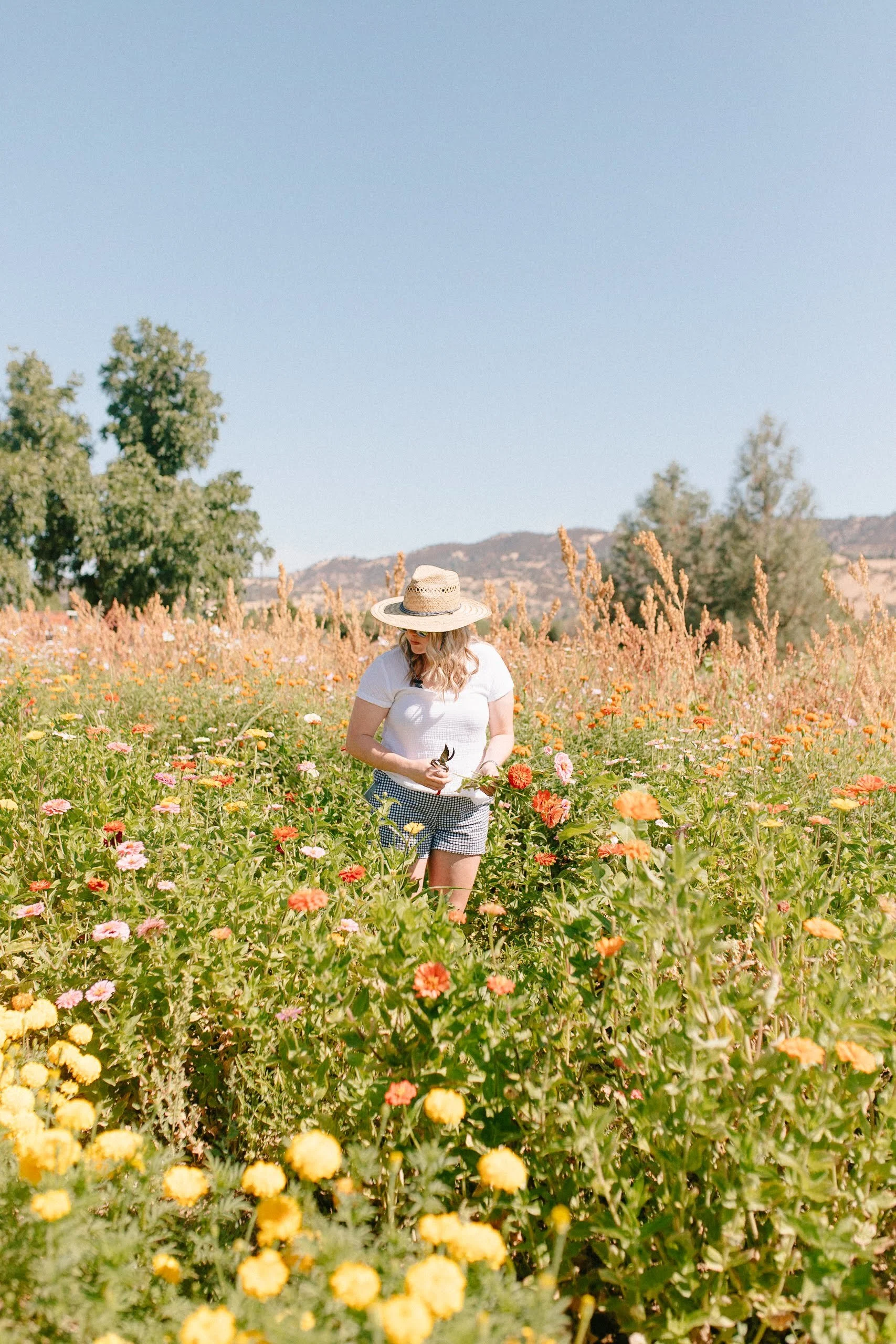 Woman in a white t-shirt, checkered shorts, and a straw hat walking through a colorful flower field on a sunny day.