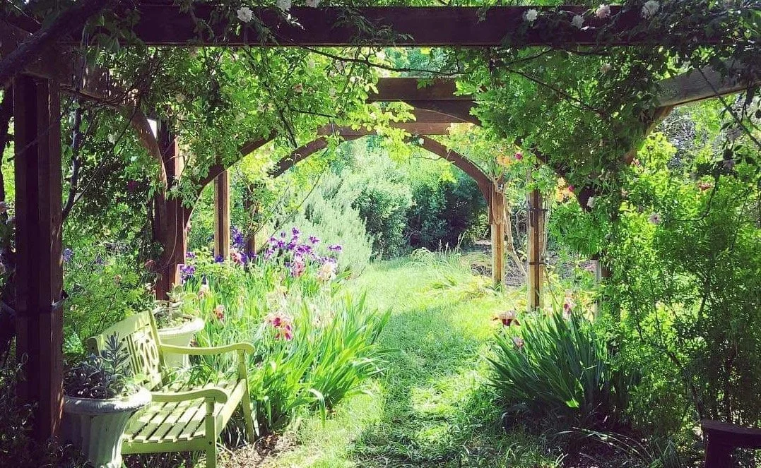 A lush garden pathway shaded by a wooden arbor entwined with green vines and leaves, with vibrant flowering plants and a light green bench on the left.