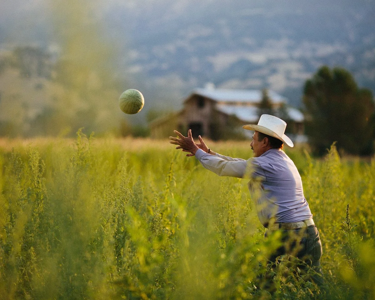 A man wearing a white cowboy hat and a light-colored long-sleeve shirt playing catch with a watermelon in a field of green grass or crops, with a rural house and mountains in the background.