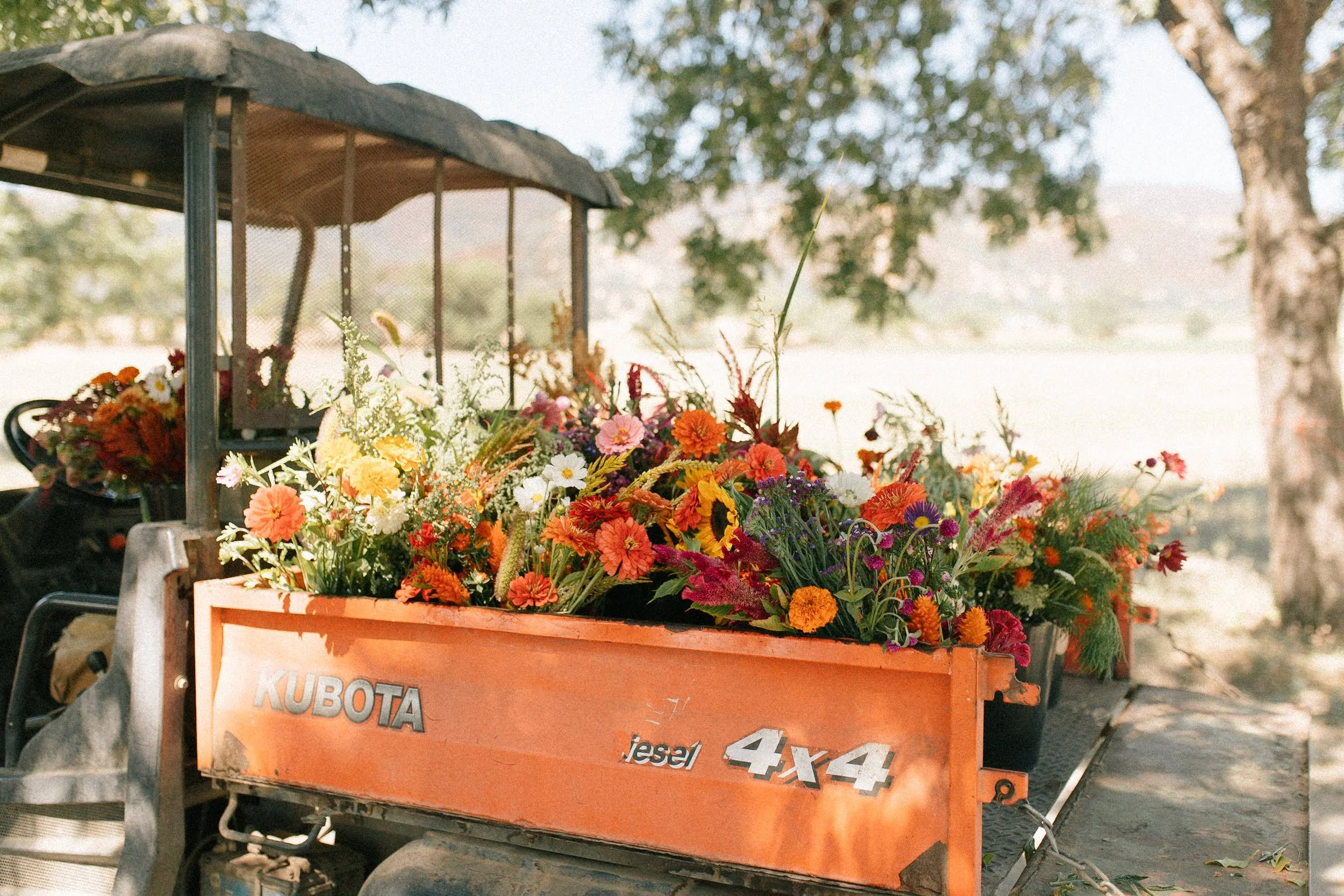 A utility vehicle filled with colorful flowers.