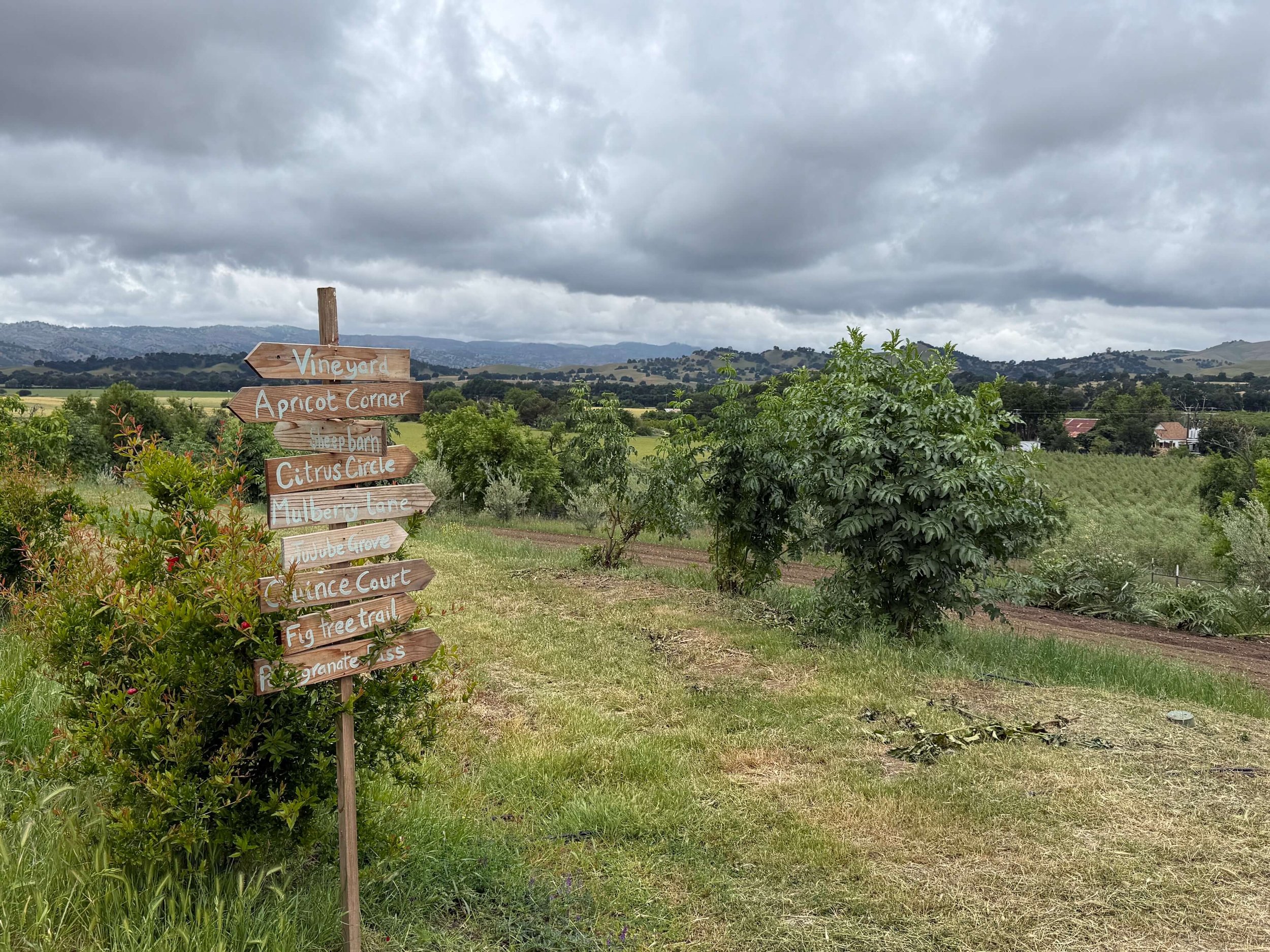 A wooden signpost with multiple directional signs in a lush green vineyard landscape under a cloudy sky, with trees, hills, and distant houses.