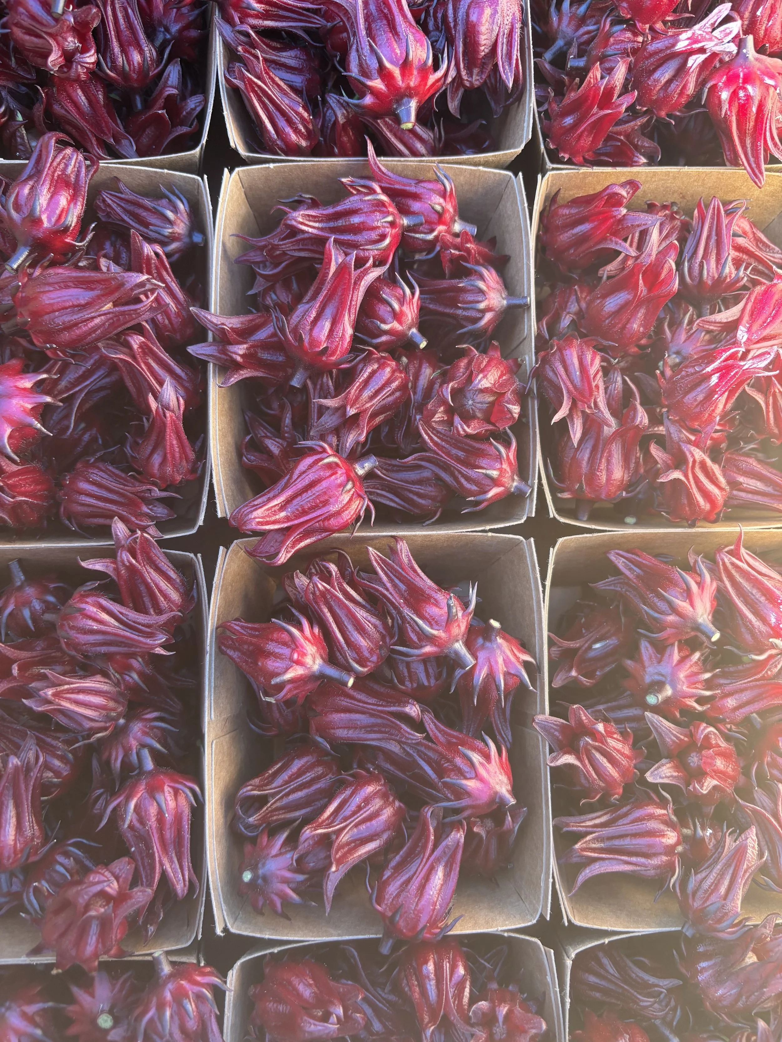 Multiple small cardboard containers filled with red and purple durian flower buds.