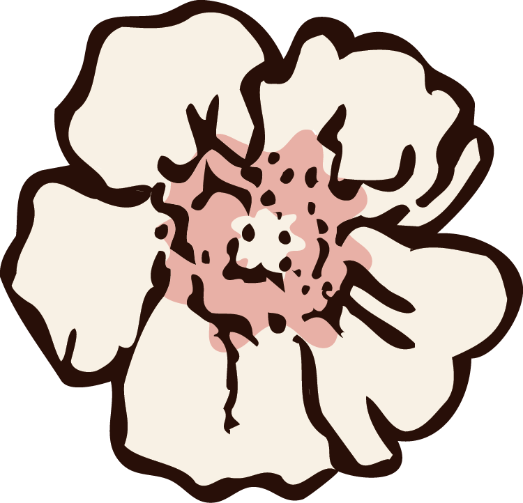 Illustration of a flower with white petals and a pink center