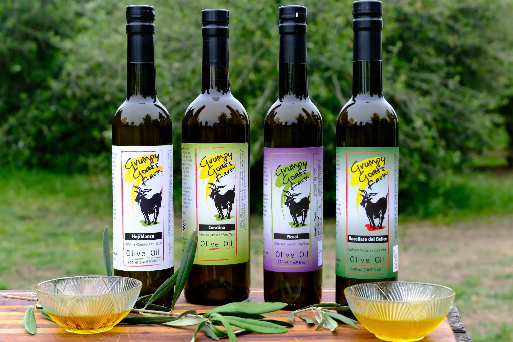 Four bottles of Grumpy Goats Farm olive oil standing on a wooden surface outdoors with greenery in the background. Two bowls of olive oil and olive branches are in the foreground.