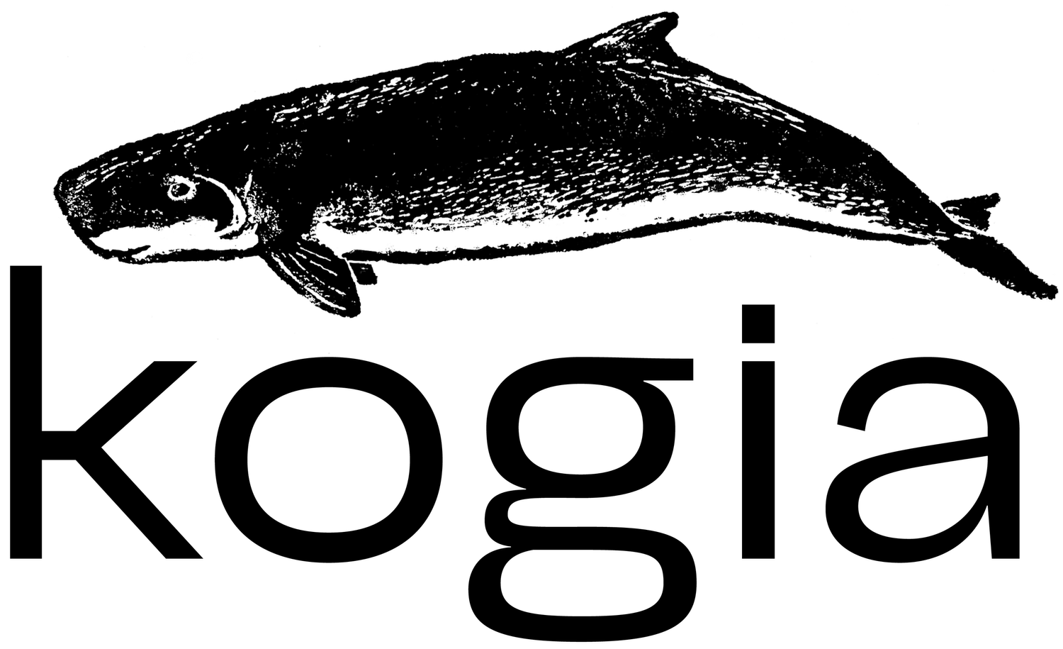 kogia (Copy)