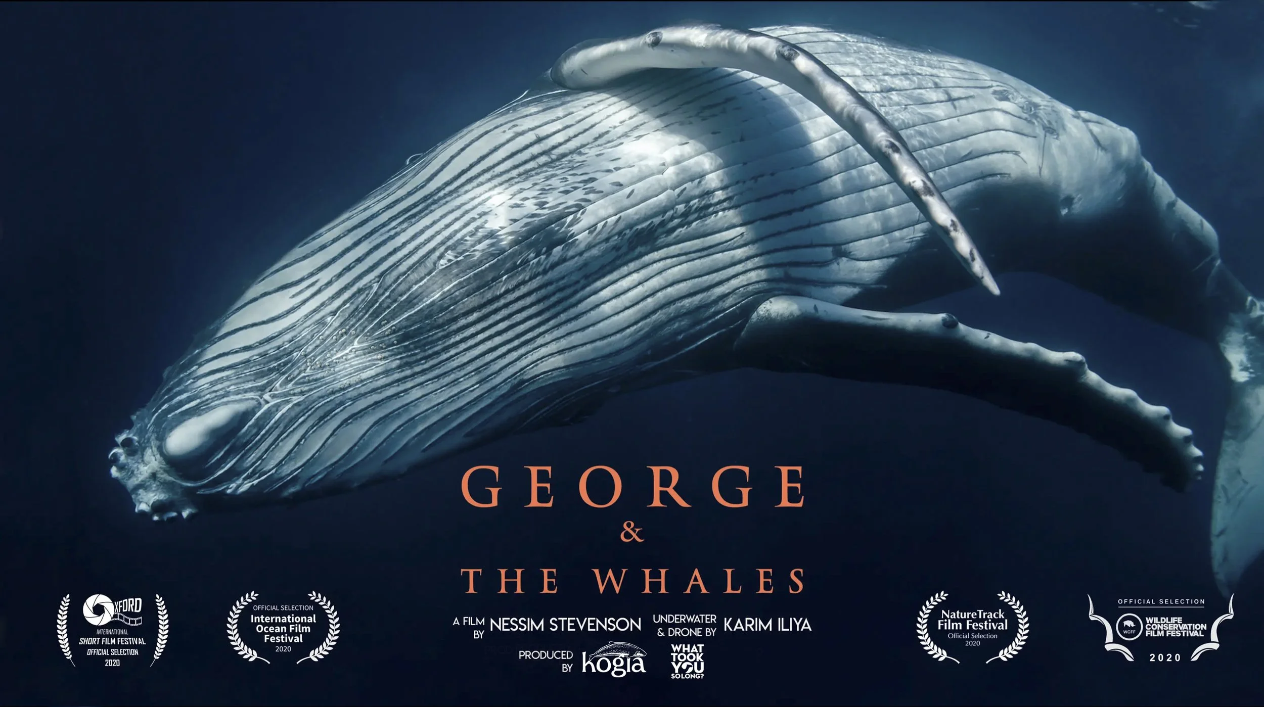 George & the Whales