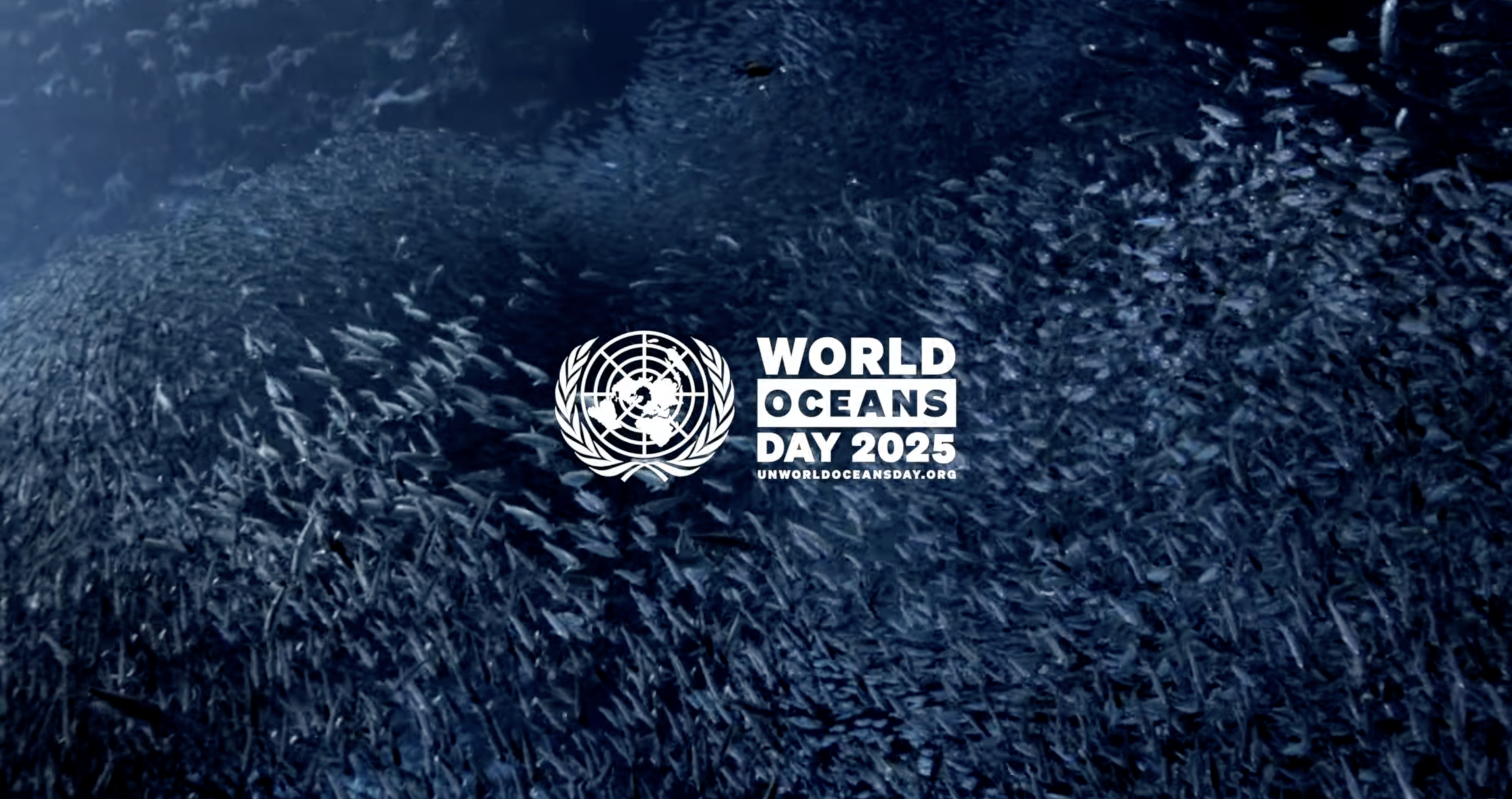 World Ocean's Day 2025