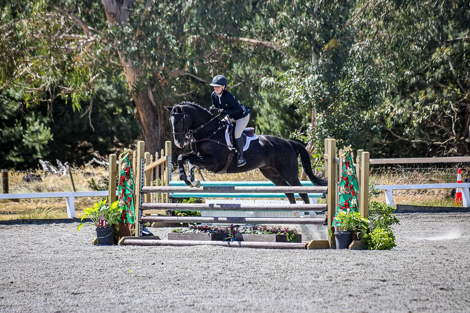 A person riding a black horse and jumping over an obstacle during an equestrian event in an outdoor arena with trees in the background.