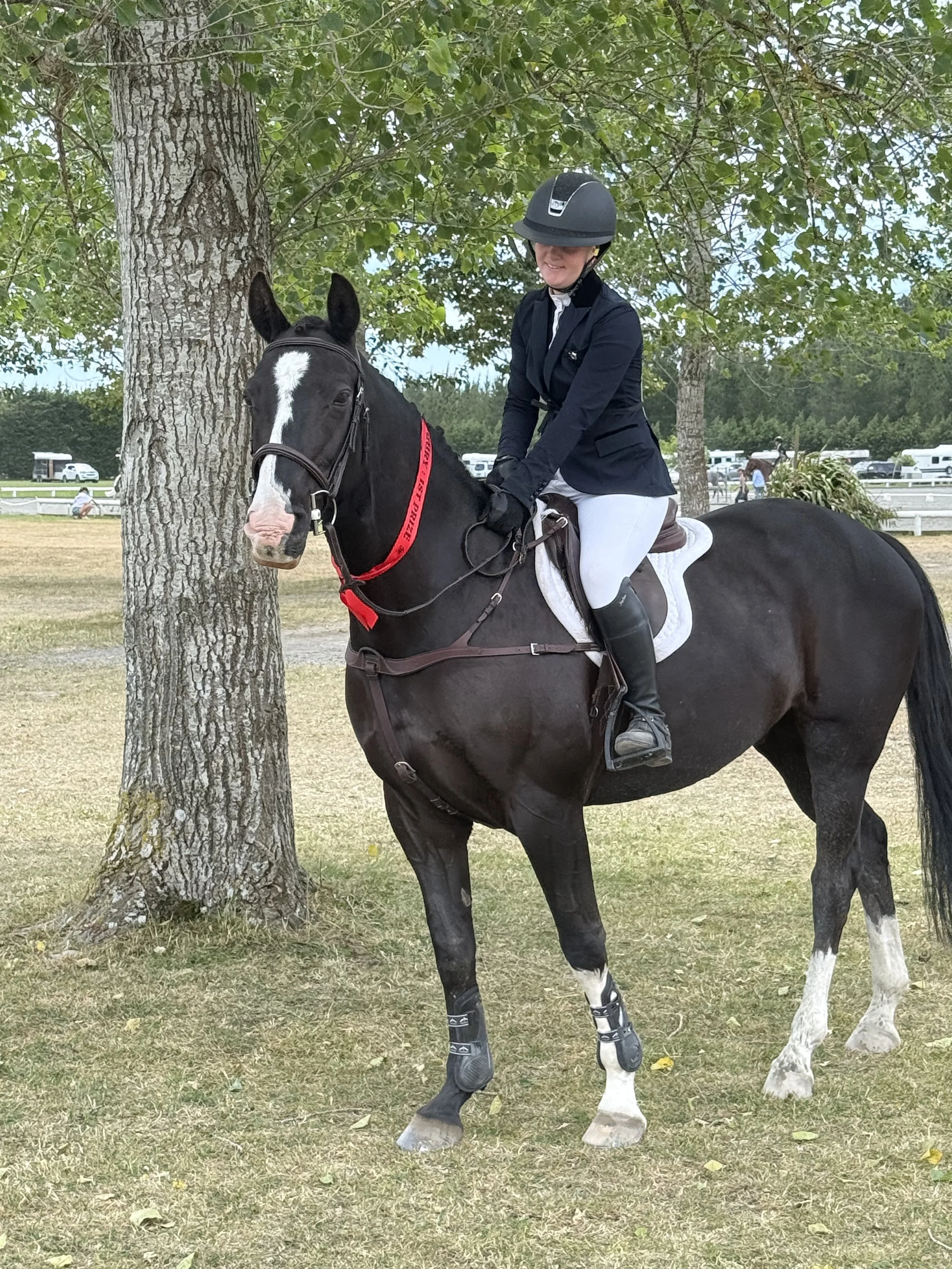 A woman in riding attire, including a helmet, jacket, and white riding pants, seated on a black horse with white markings, standing next to a tree in an outdoor equestrian setting.