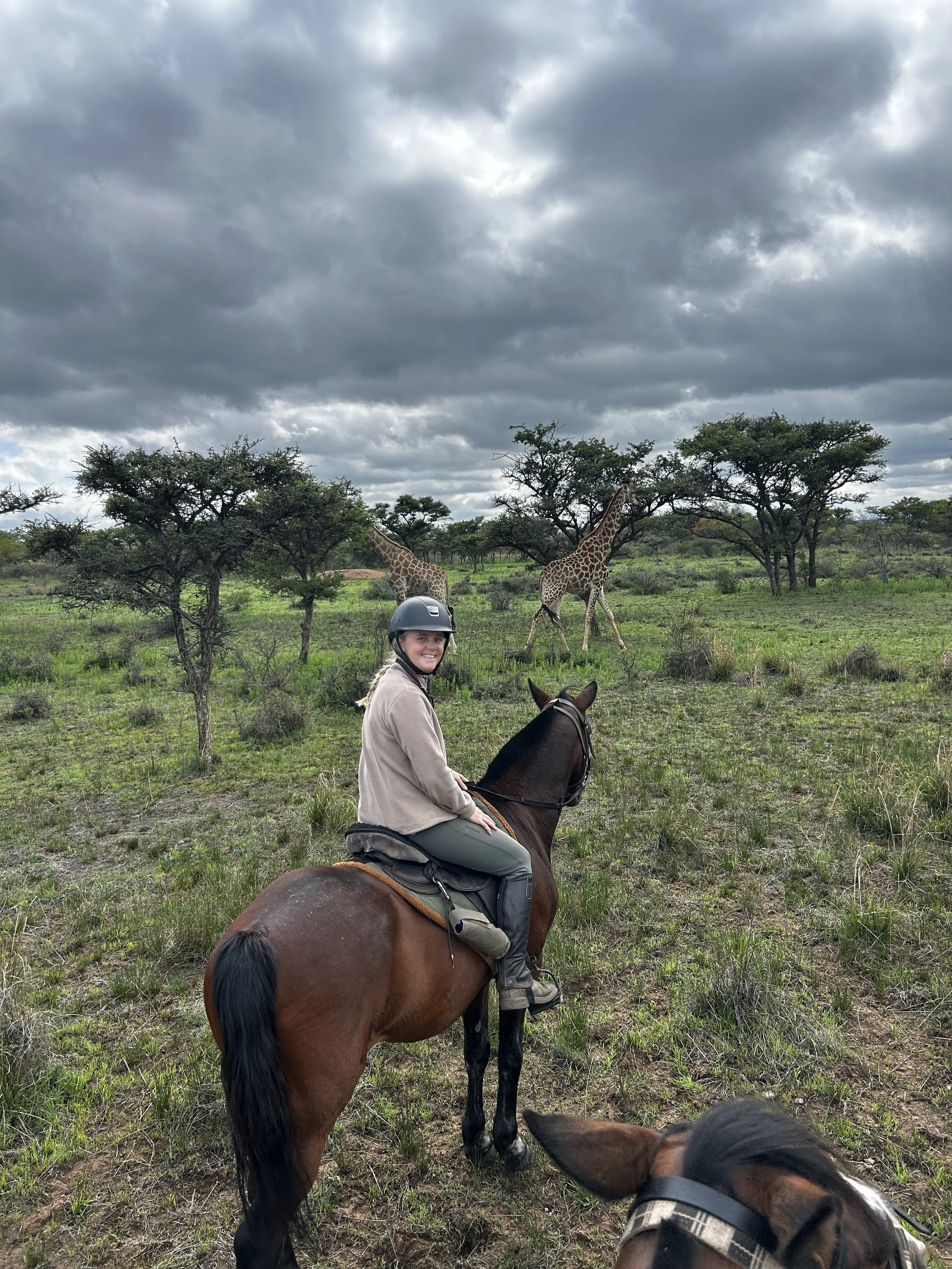 A woman riding a horse in a grassy open field with two giraffes and trees in the background under a cloudy sky.