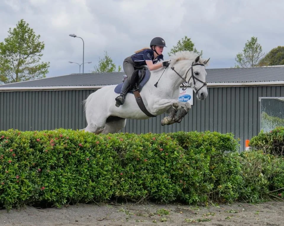 A person riding a white horse over a hedge during a show or equestrian event.