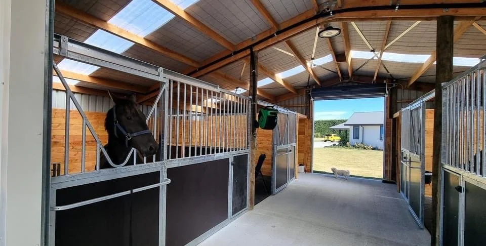 A horse inside a metal and wood stall in a well-lit barn with open doors showing a house and yard outside.