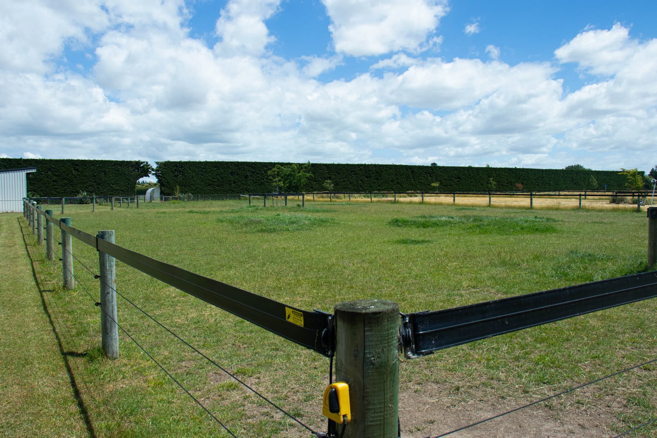 Open grassy field with equine safe fencing and trees in the distance, a blue sky with some clouds, and a small shed on the left.