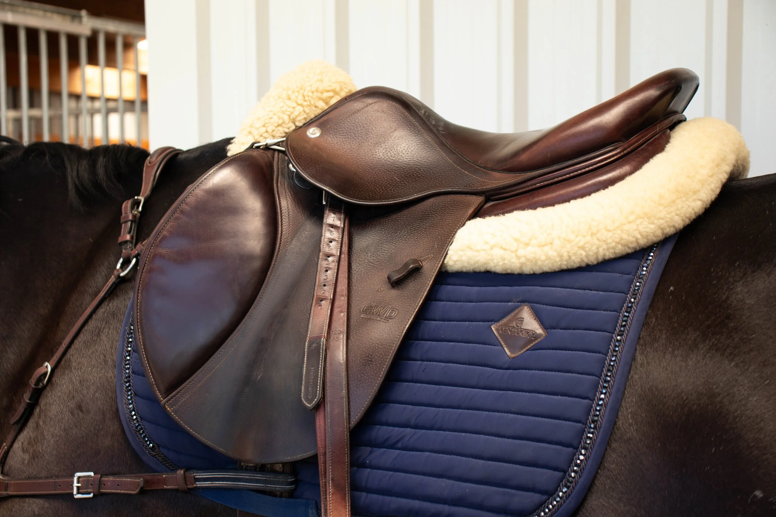 A close-up of a brown leather horse saddle resting on a blue saddle pad on a horse.