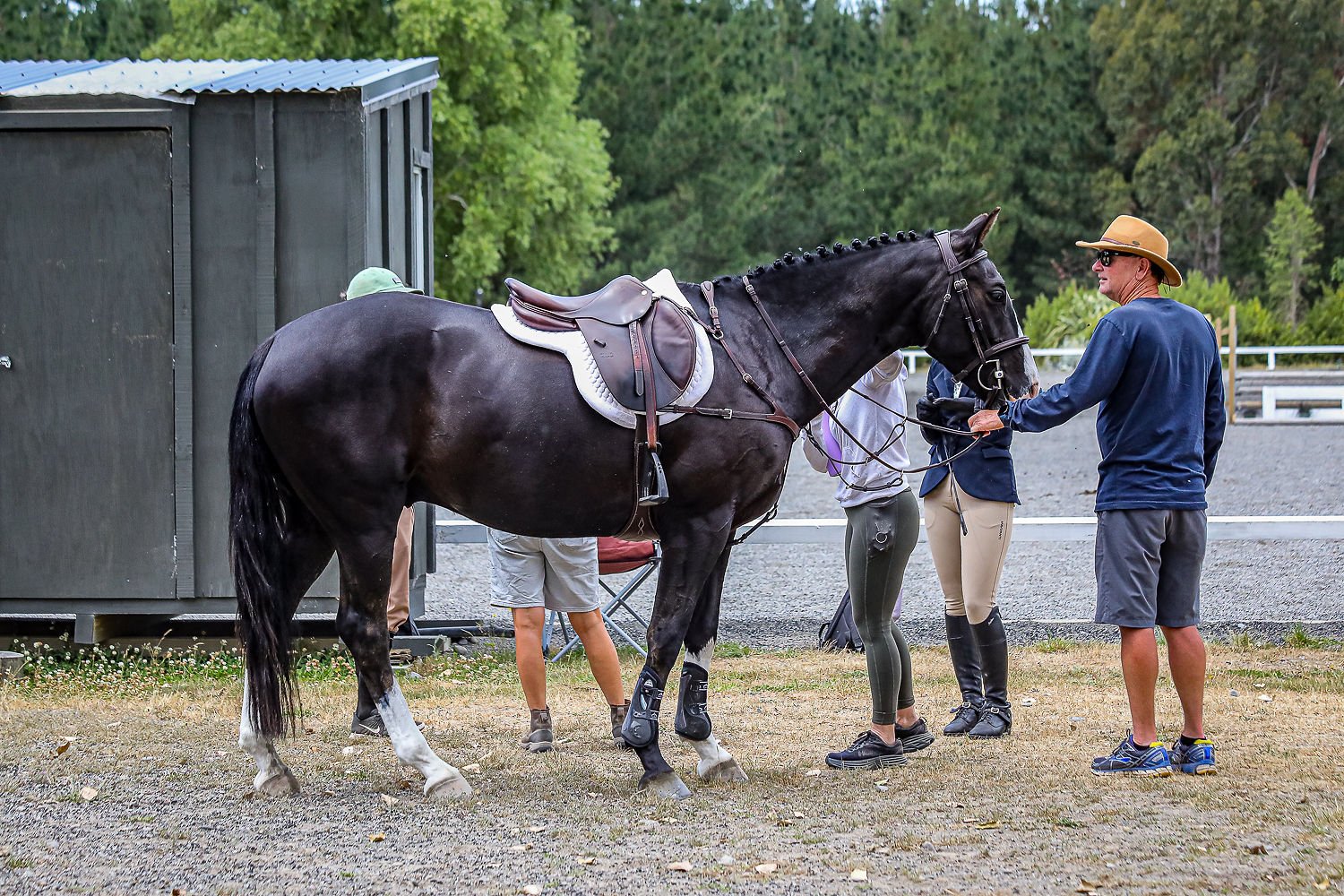 People with a black horse outside at a farm or stable area, with a green backdrop of trees and a gravel ground.