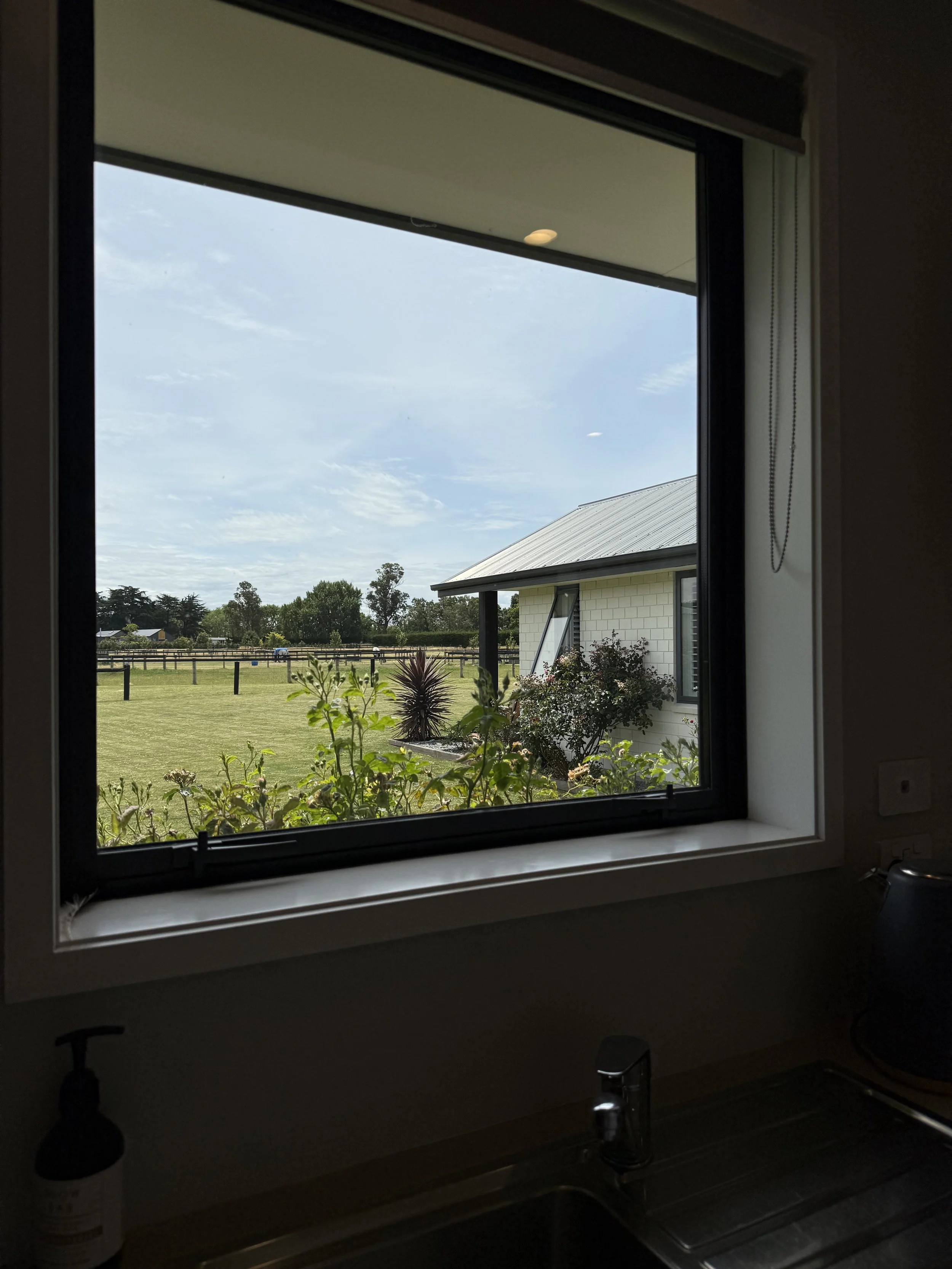 View of a grassy yard with trees and a white house with a metal roof seen through a window from inside a kitchen.