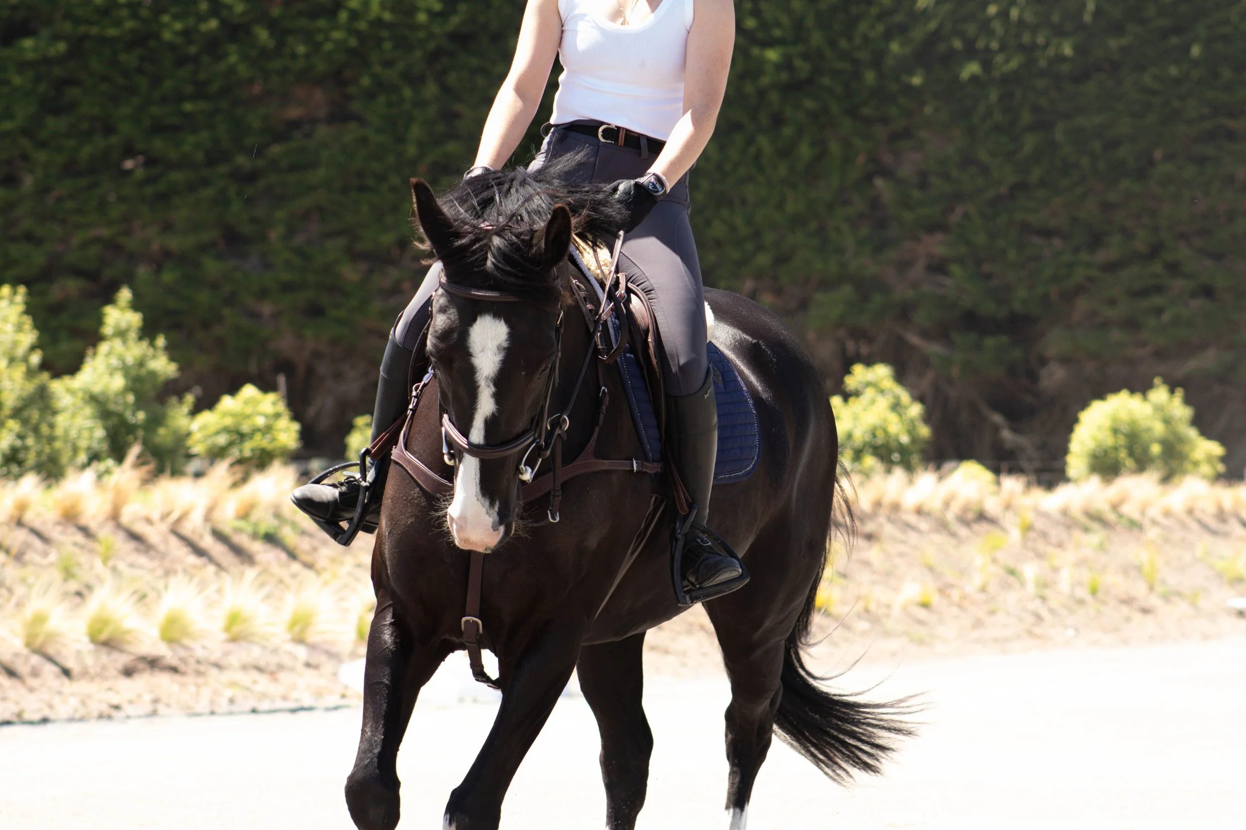 Person riding a black horse with a white blaze on its face outdoors on a sunny day.