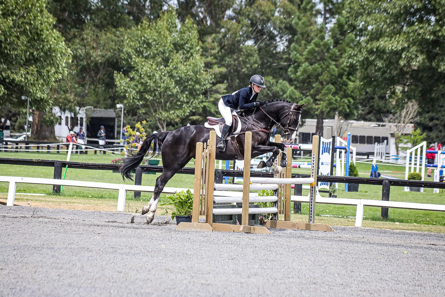 A rider in riding gear and helmet jumping over a show jumping obstacle on a black horse during a competition.