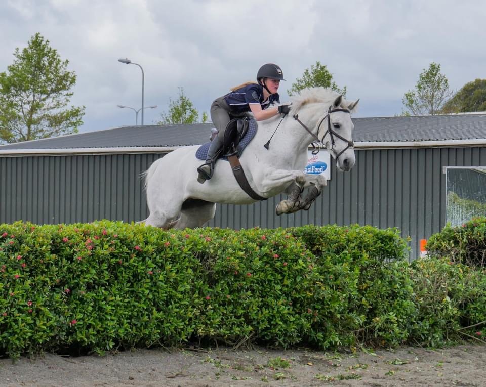 A young girl riding a white horse over a hedge during a show jumping event.
