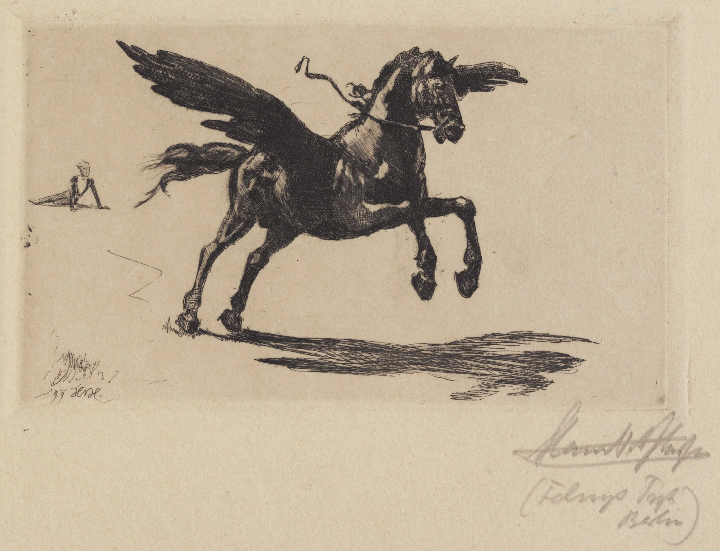 A detailed black ink drawing of a Pegasus, a winged horse on a plain background.