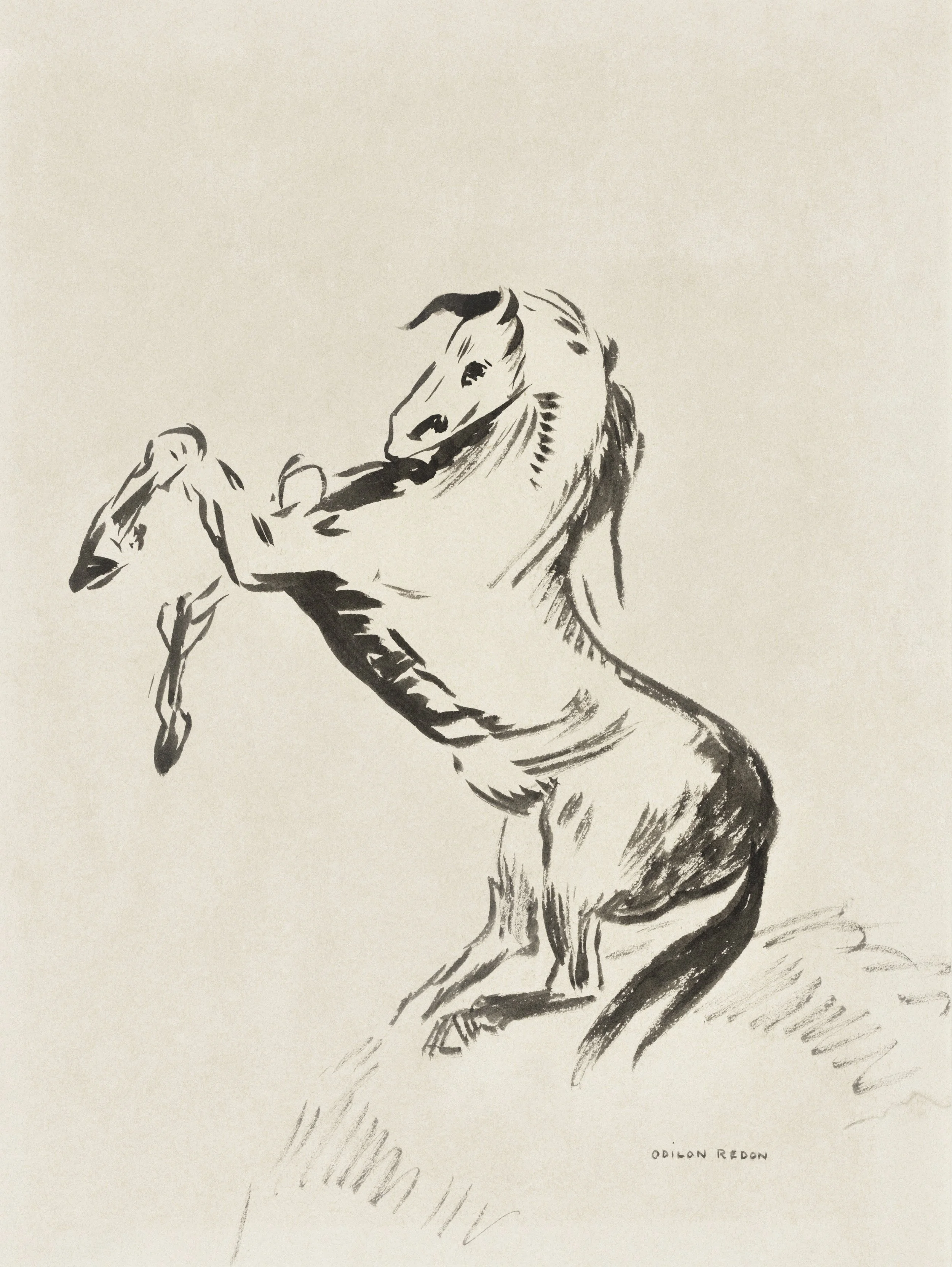 A black and white ink sketch of a horse's head and front leg, signed by Odilon Redon.