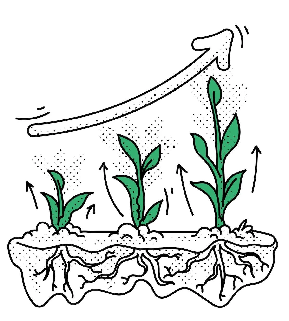 Illustration of plant growth showing stages from small seedling to full-grown plant with roots underground, with an upward arrow indicating growth.
