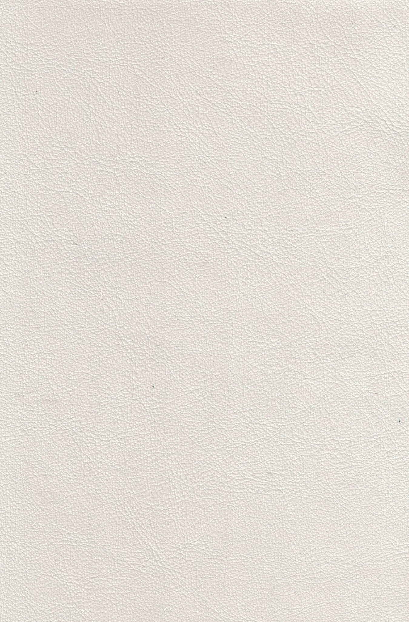 VOYAGE ARCTIC.jpg