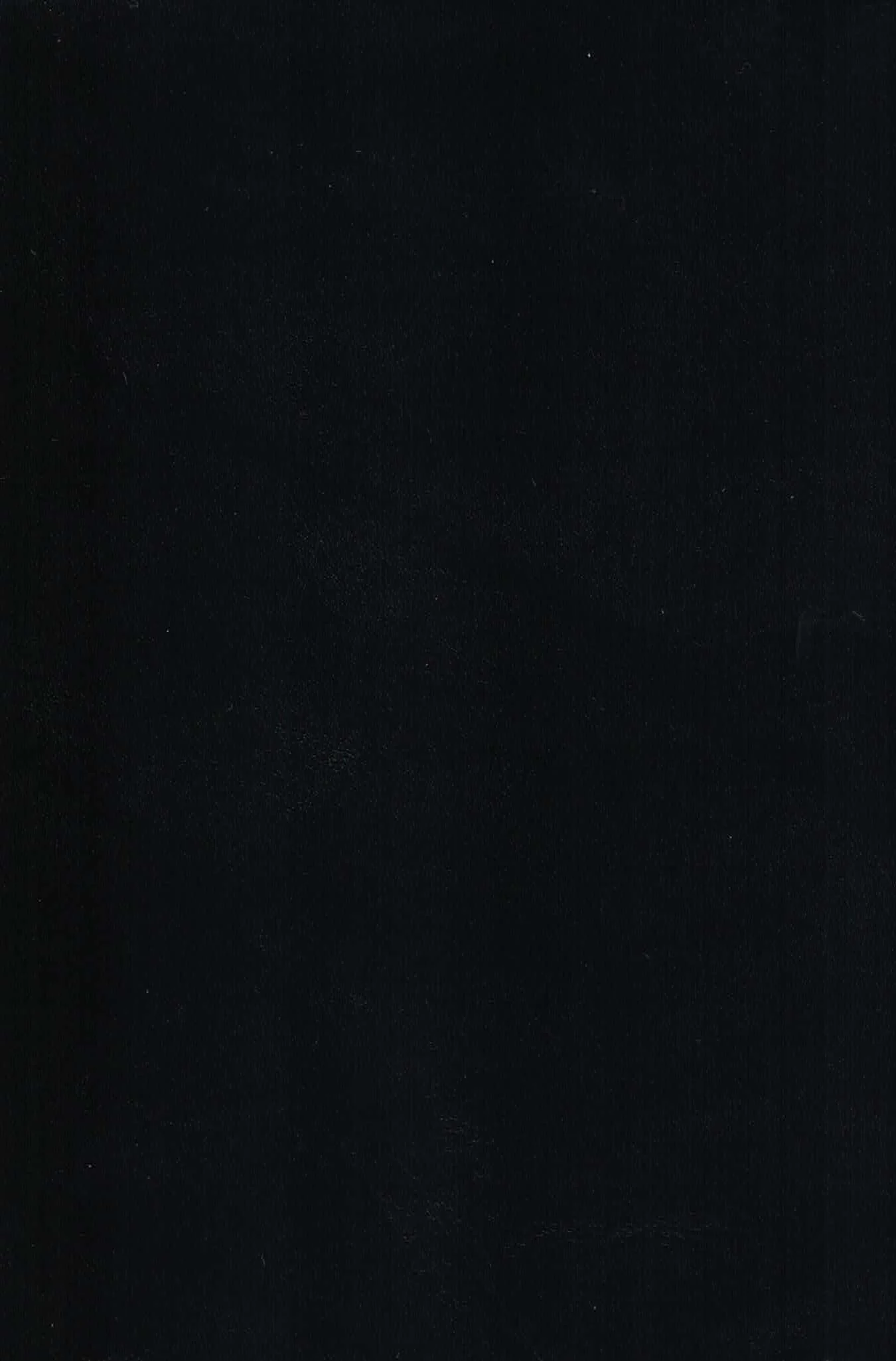 SEGUOIA BLACK.jpg