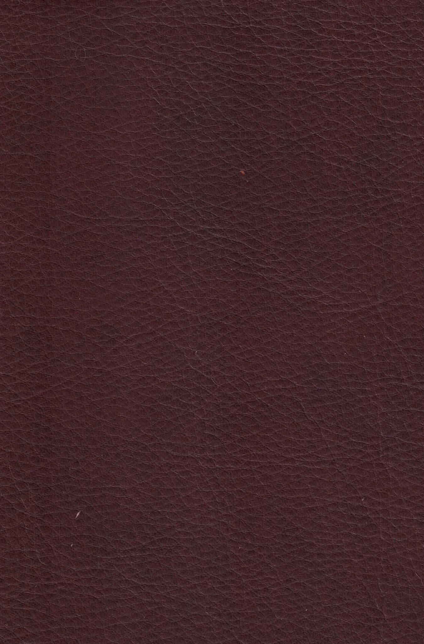 ALLANTE MERLOT.jpg