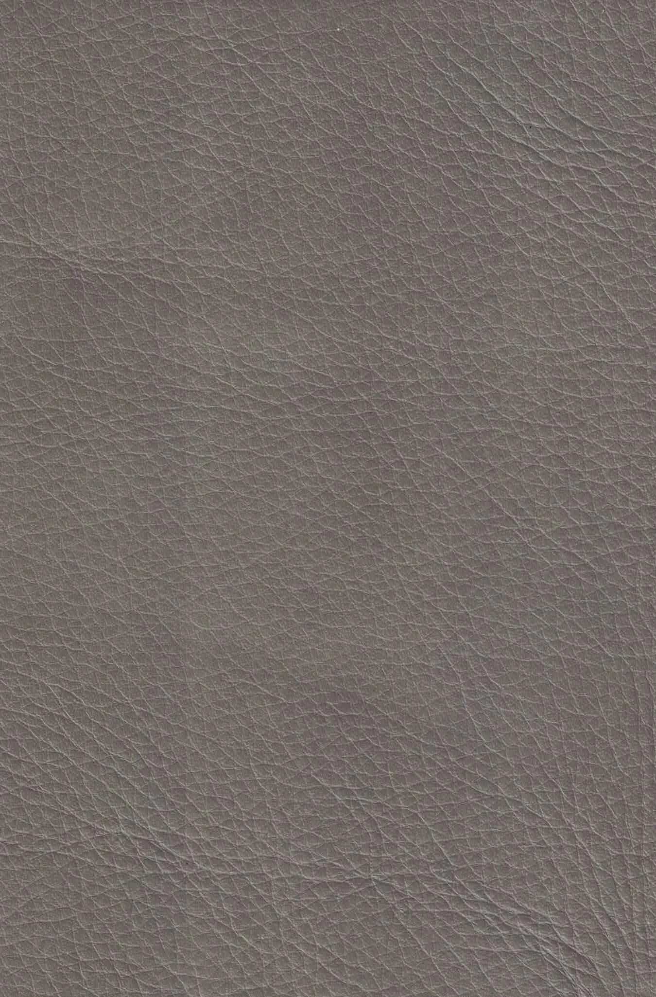 ALLANTE PEWTER.jpg