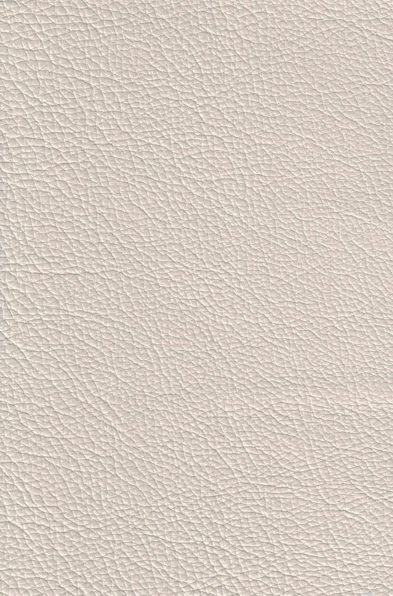 MAMMOTH ICEBURG.jpg