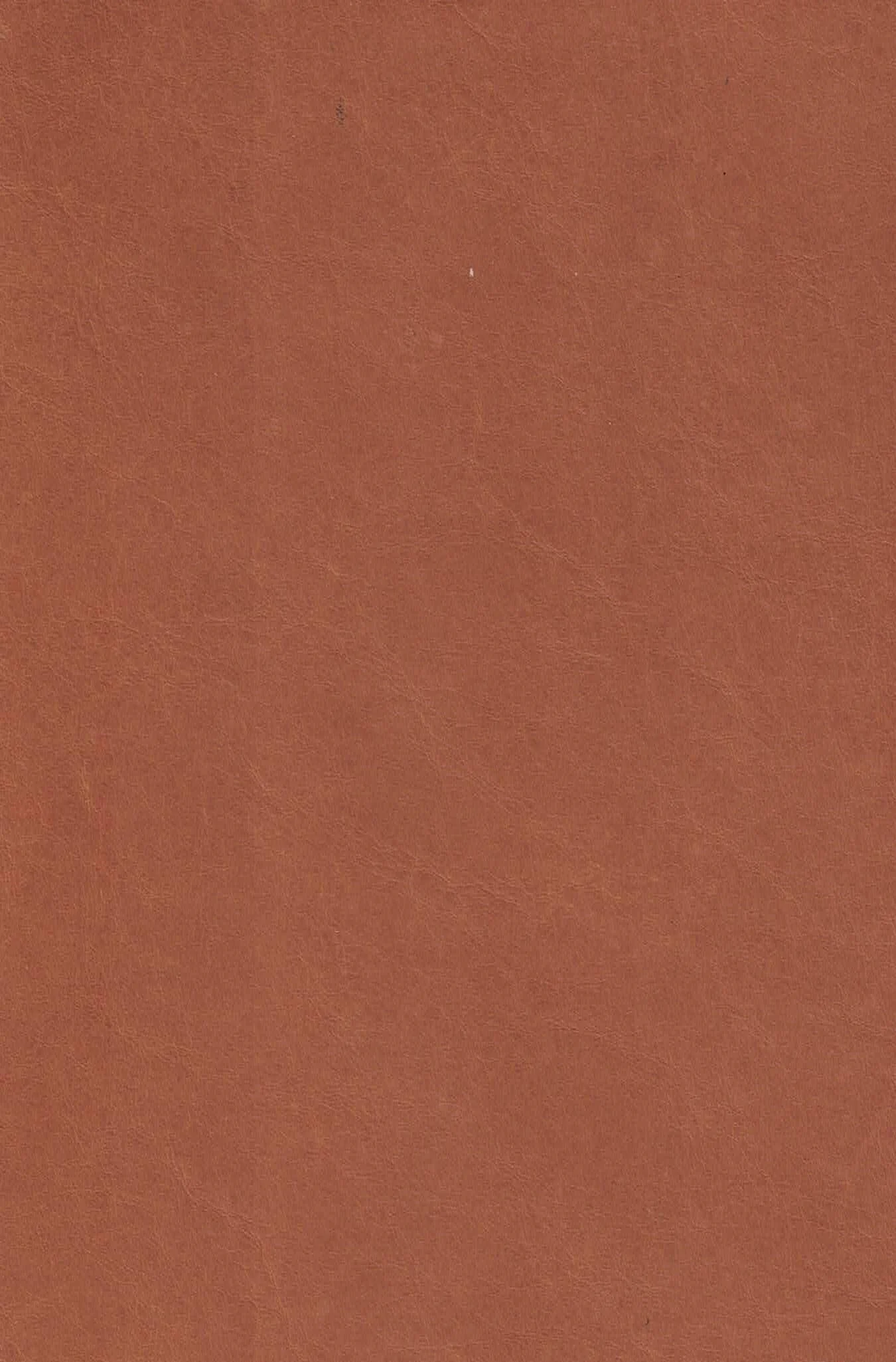 DANIELS HONEY.jpg