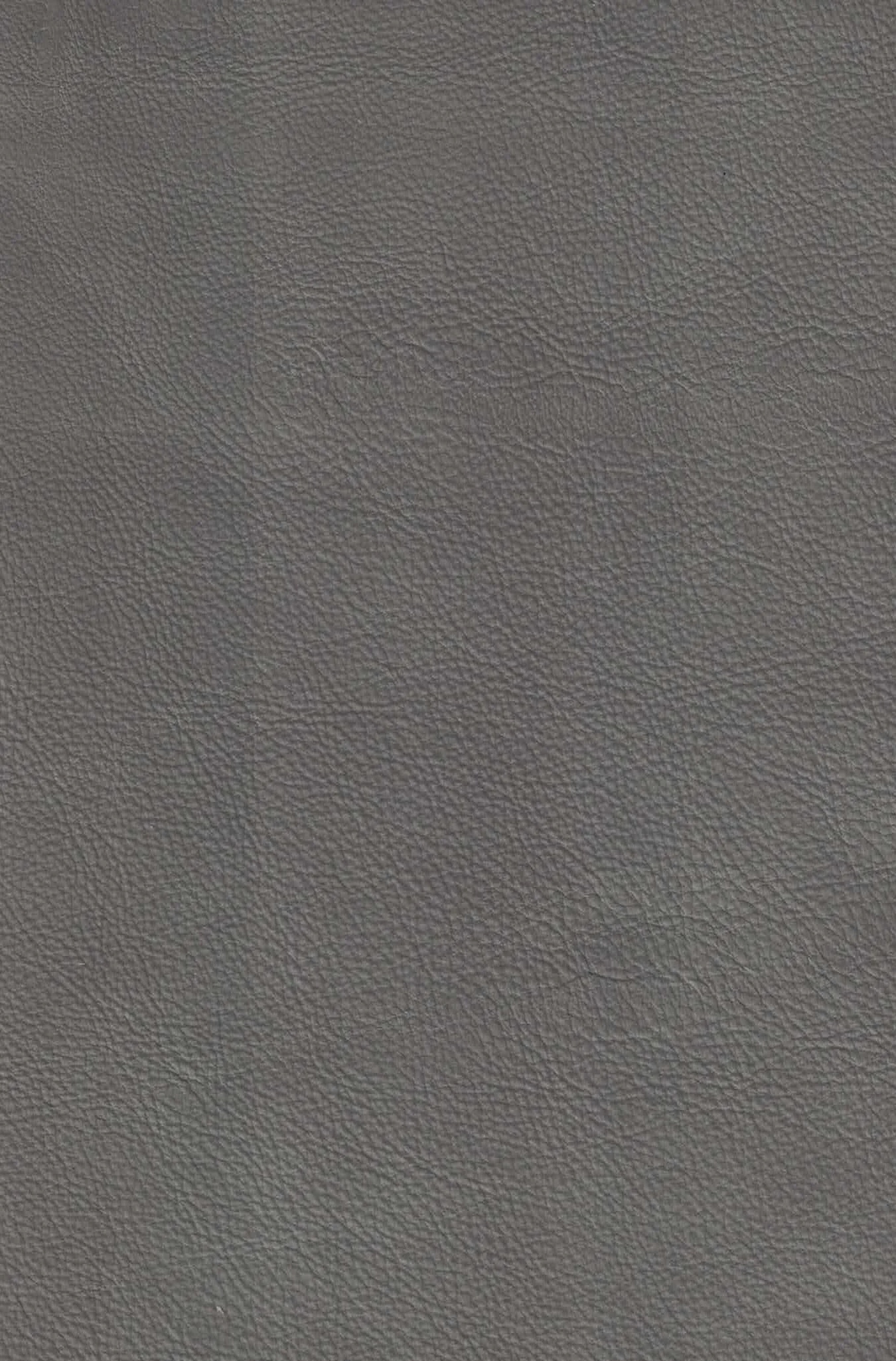 PLUME SILVER.jpg