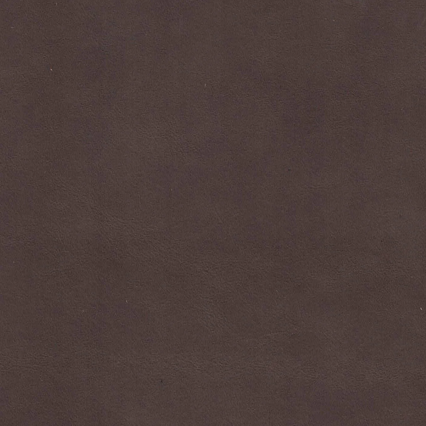 Jewel Mocha