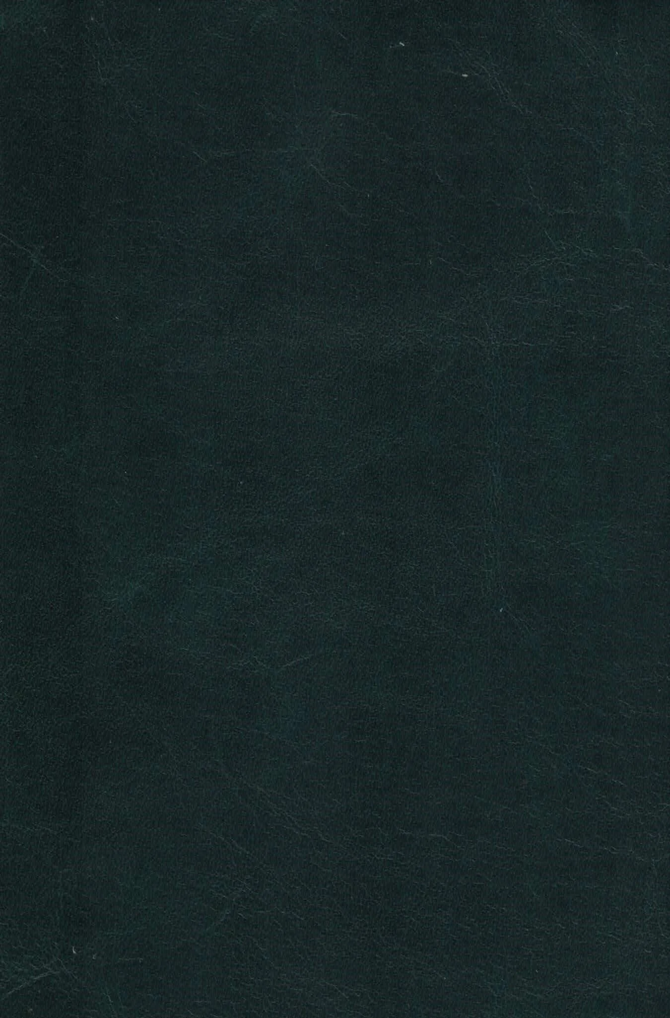 MONTE BLANC MEADOW ELK.jpg