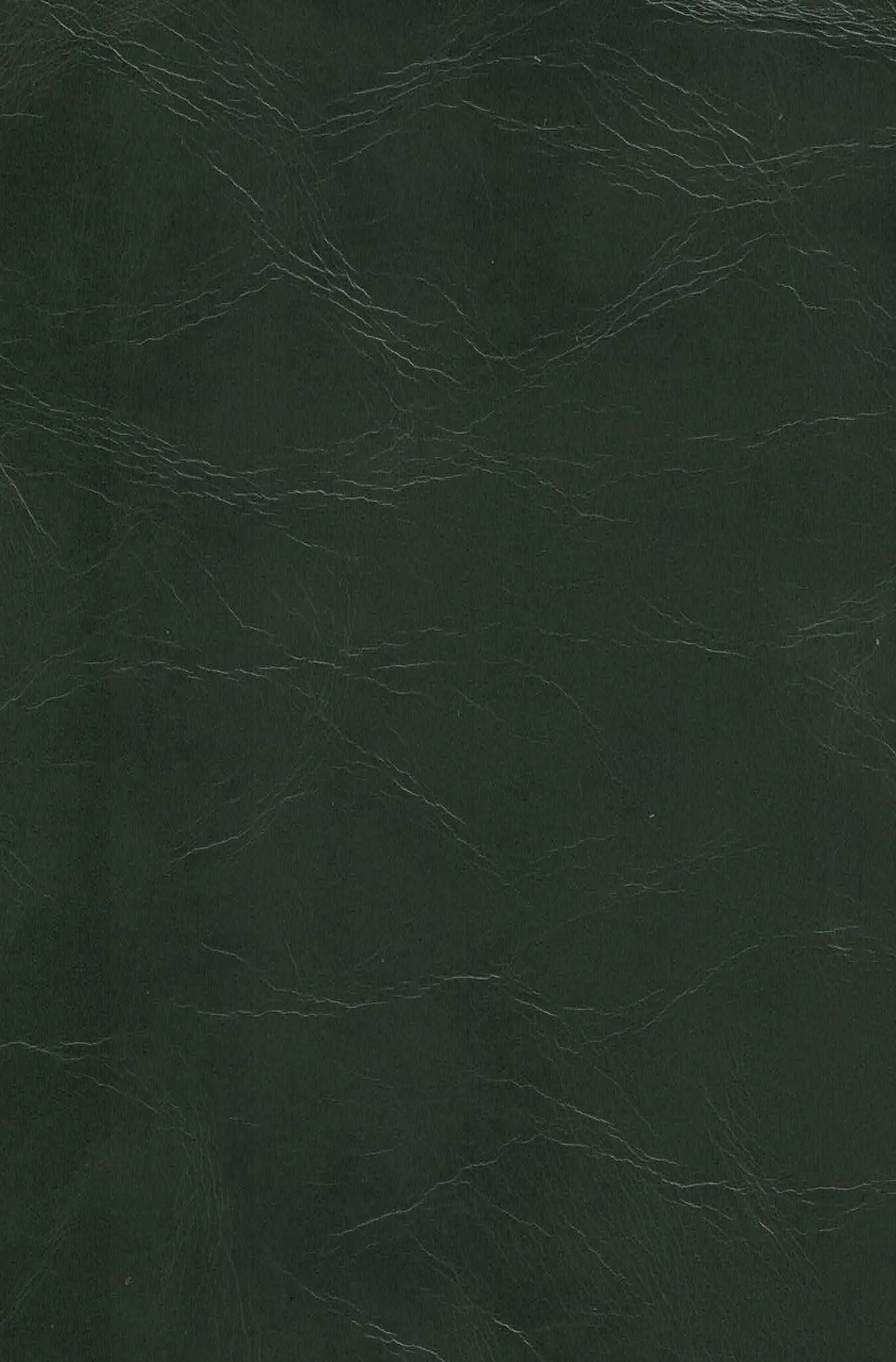 SEQUOIA AQUA.jpg