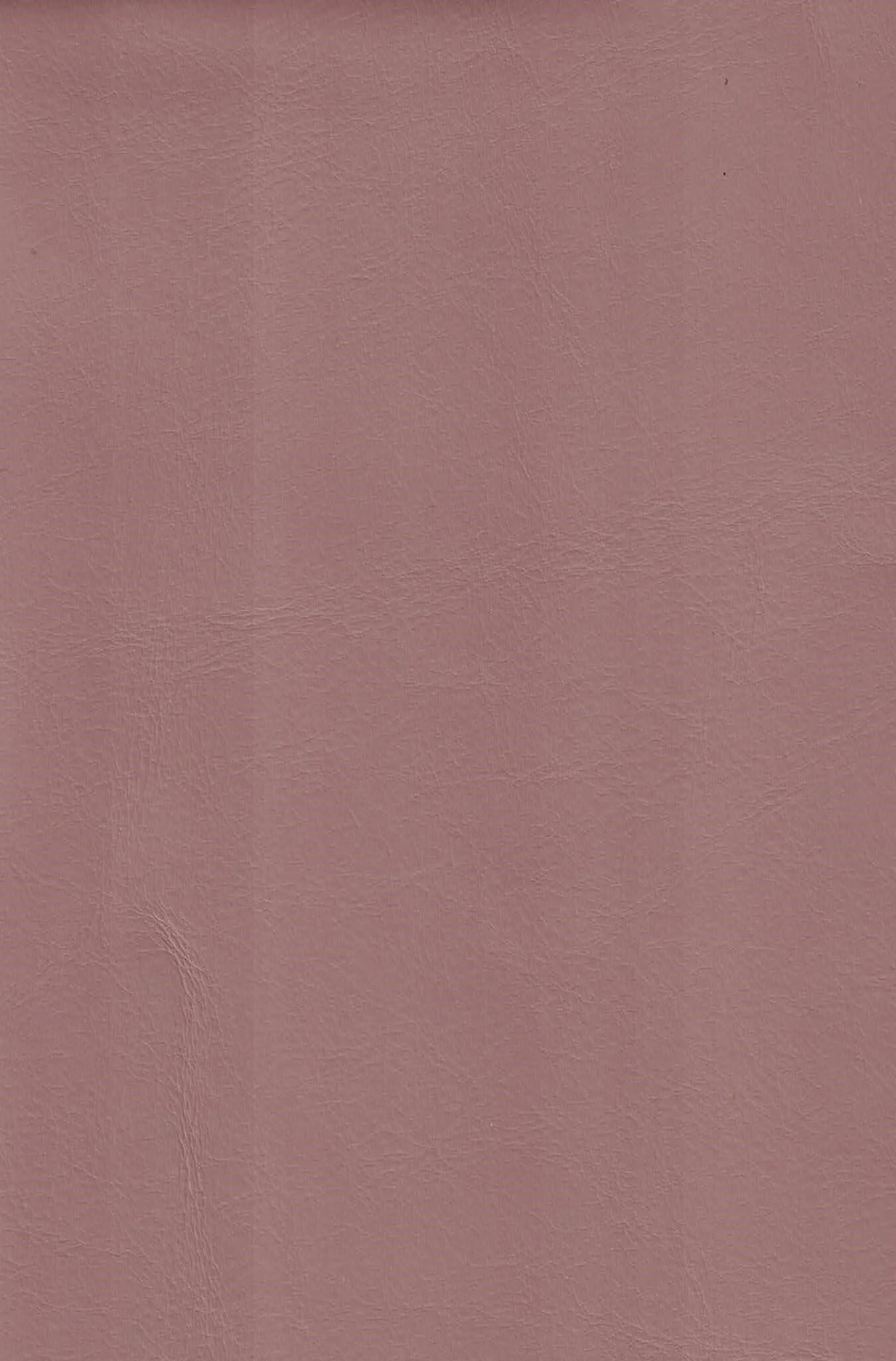 VOYAGE DUSTY ROSE.jpg