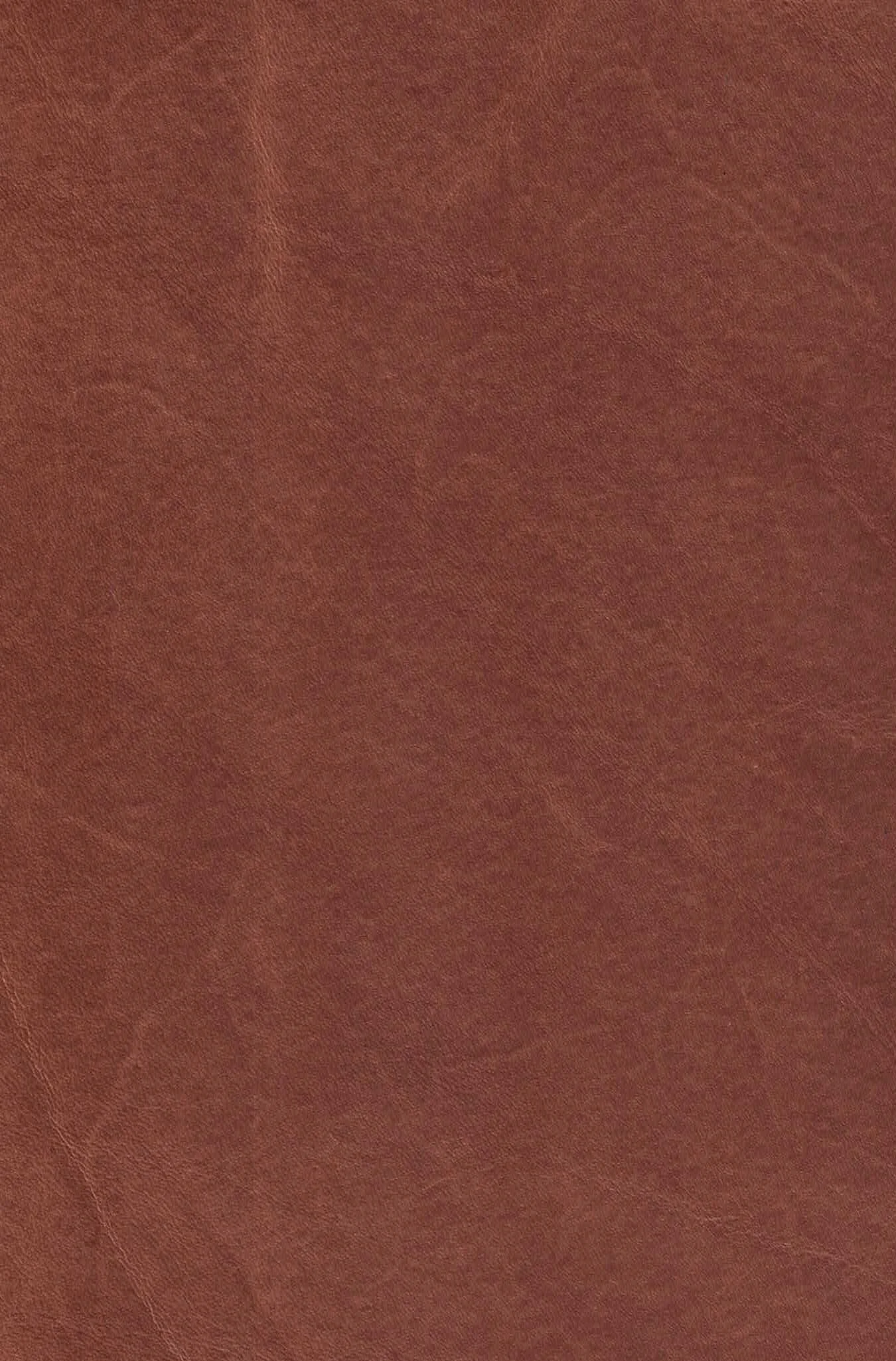 MONT BLANC SYCAMORE.jpg