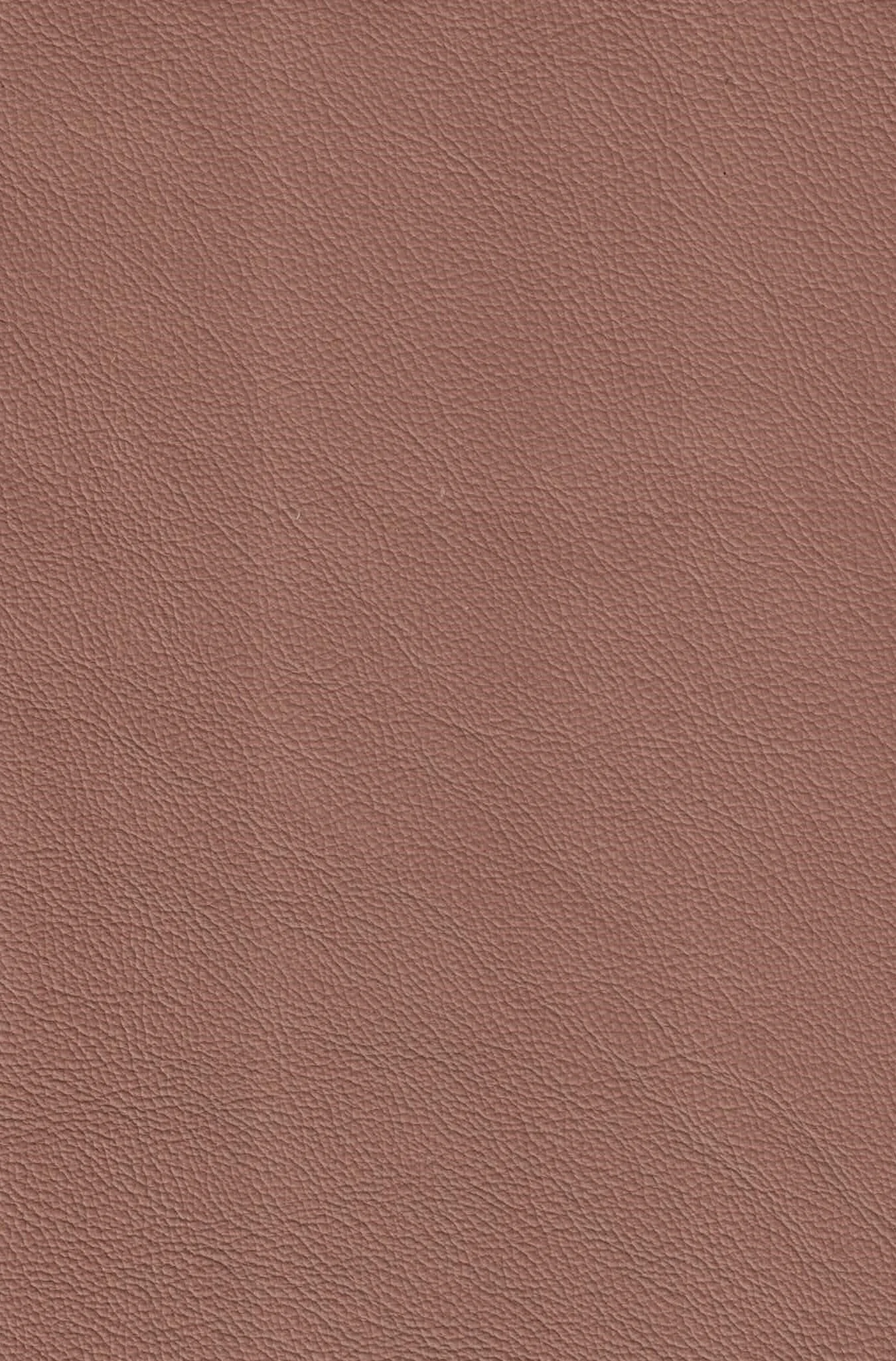 SEGUARO LATTE.jpg