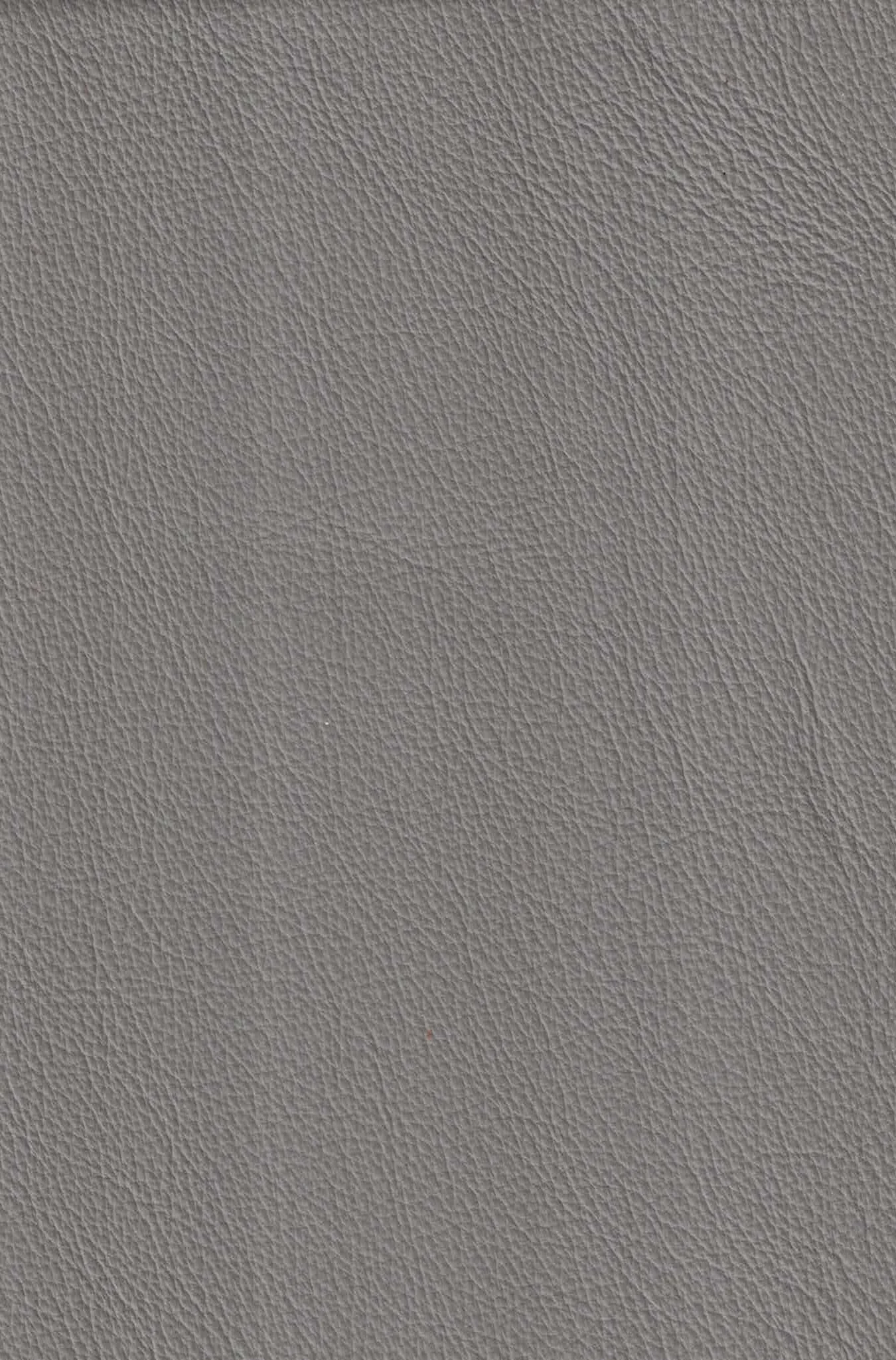 SEGUARO GREY.jpg