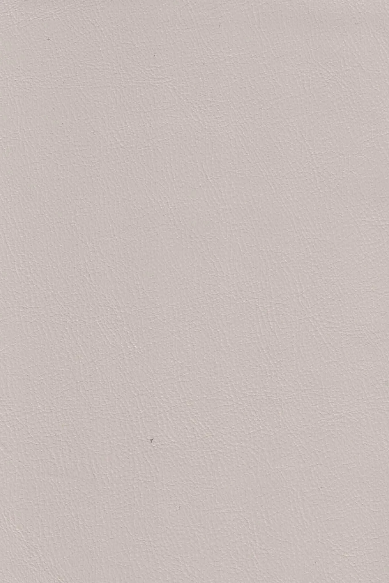 VOYAGE IVORY.jpg