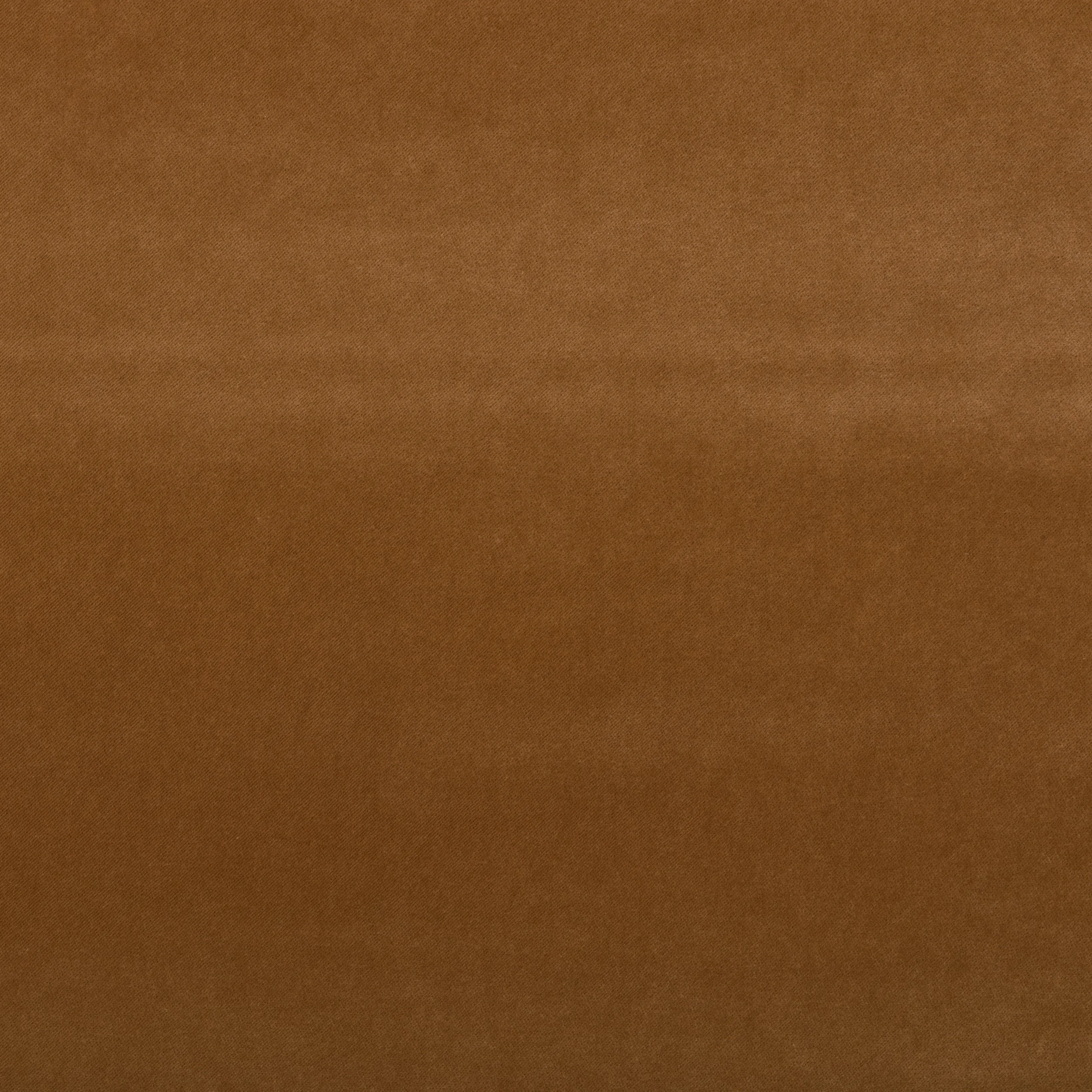BANKS-NUTMEG.jpg