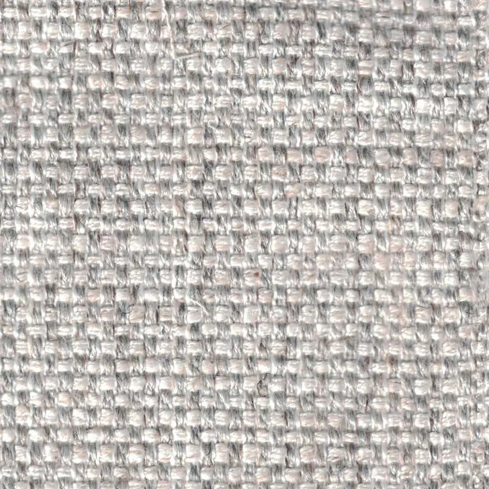 Explorer Baby's Breath 💪