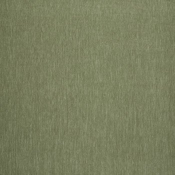 Amici Fern.jpg