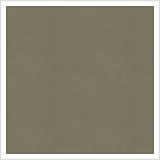 BOONE Tannish.png