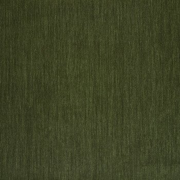 Amici Moss.jpg