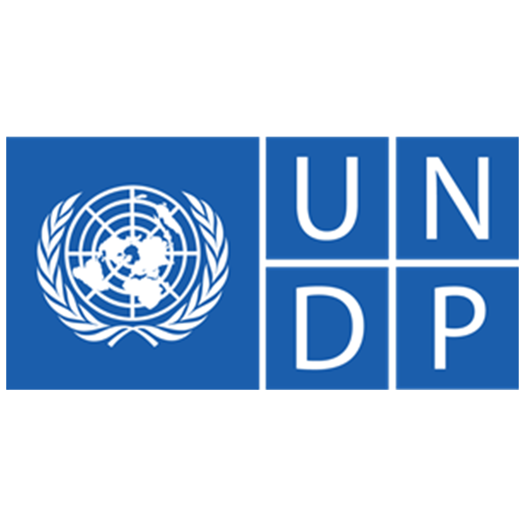 UNDP & Lioberg.png