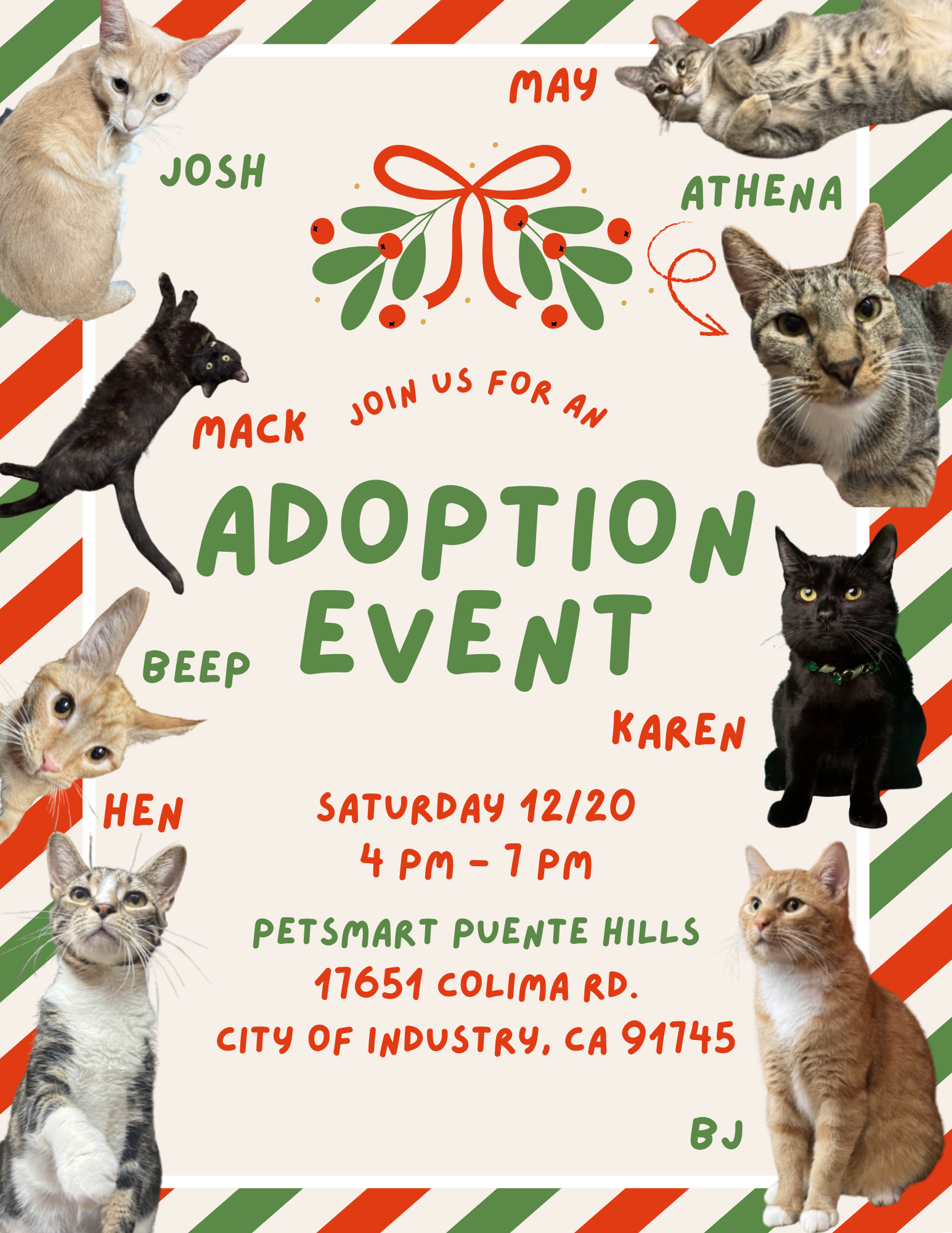 Adoption Event