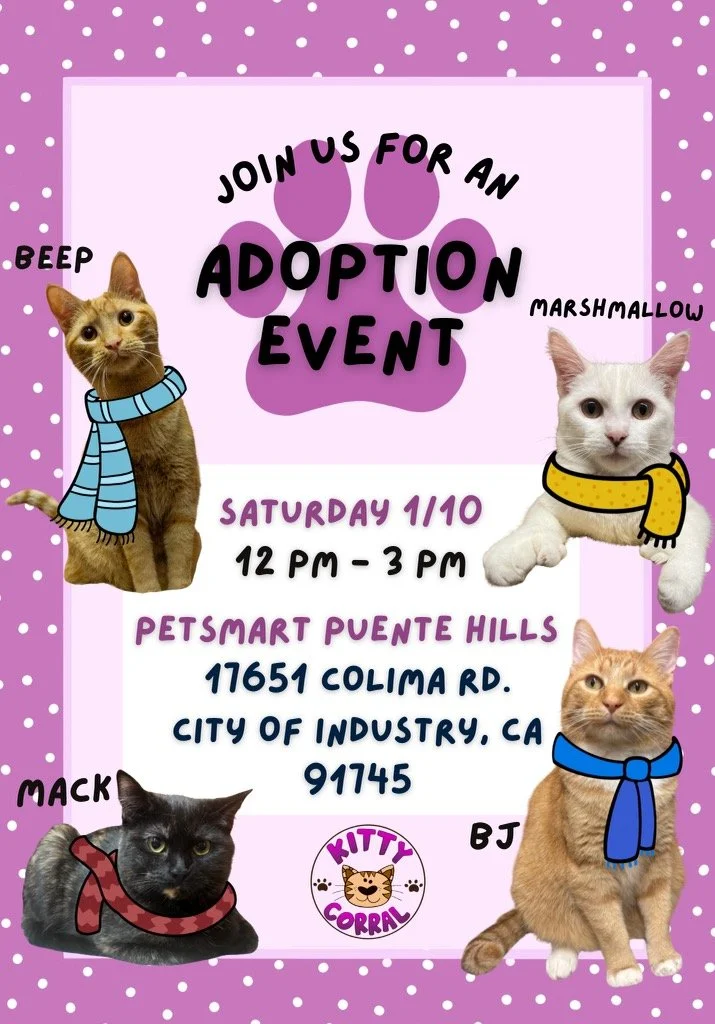 Adoption Event